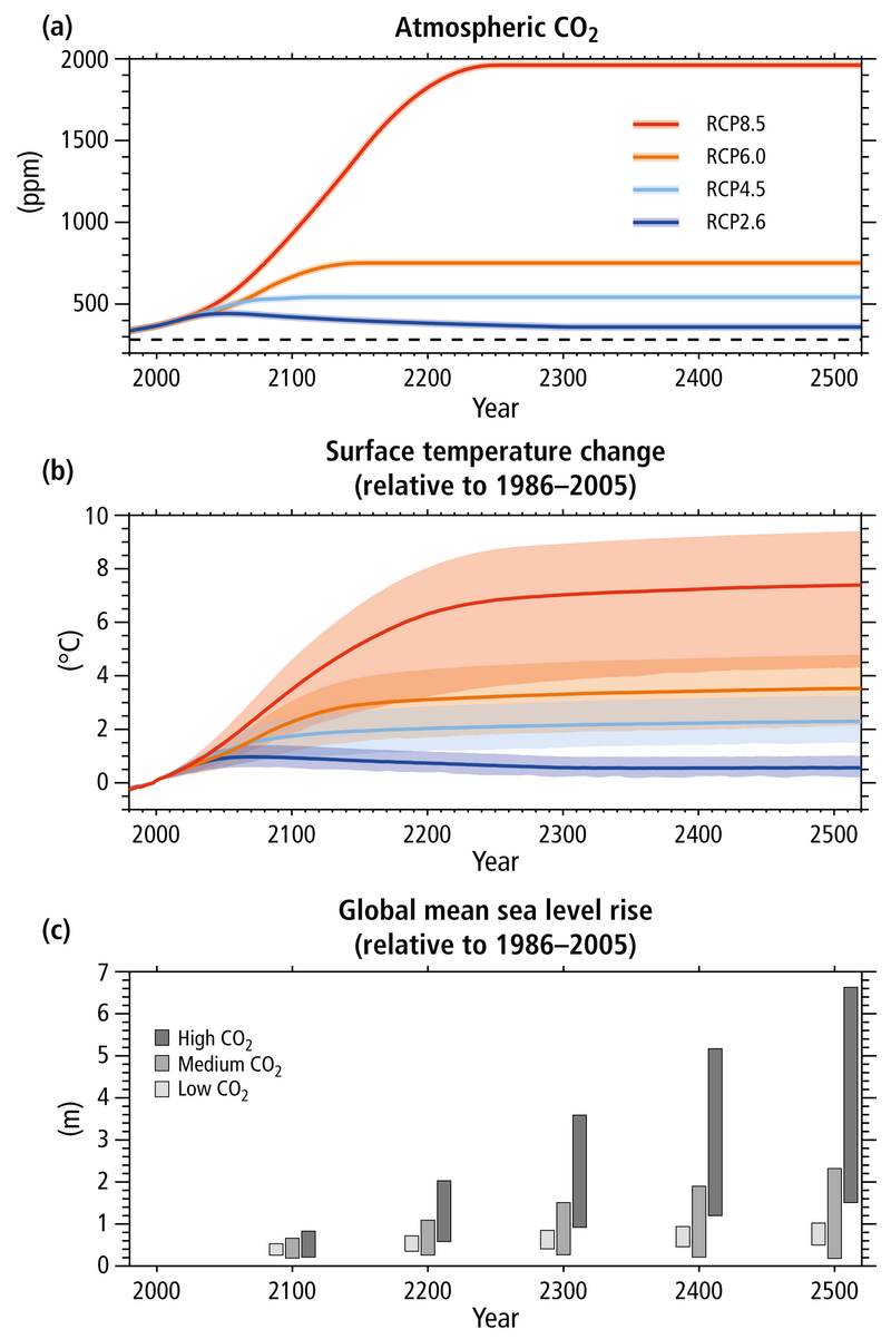 Die Abbildung zeigt zwei Diagramme, welche die zukünftige Entwicklung der globalen, atmosphärischen Kohlenstoffdioxidkonzentration sowie der globalen Mitteltemperatur nach den RCP-Pfaden darstellt.